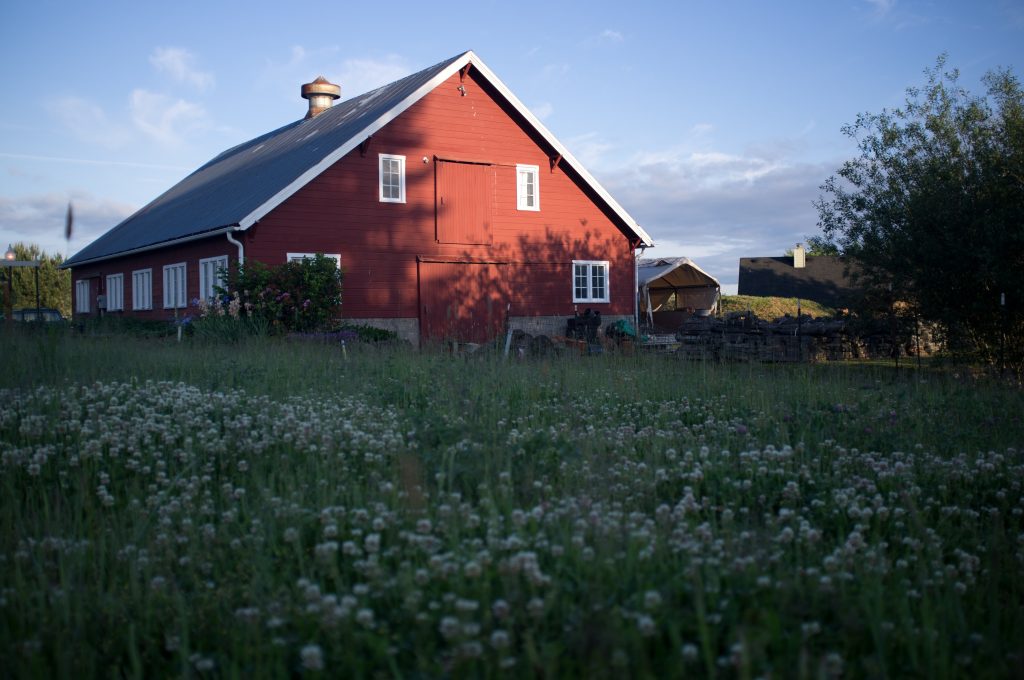 red barn and flower field