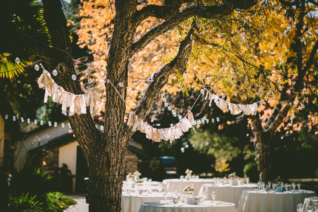 trees decorated with strands of ribbon and lights with white table clothed tables 